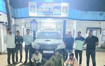 खेड़ा में फॉर्च्यूनर से भैंस चोरी करने वाला गैंग गिरफ्तार, कथलाल पुलिस की बड़ी कार्रवाई